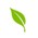 Healthfirst