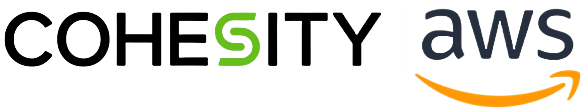 Cohesity AWS