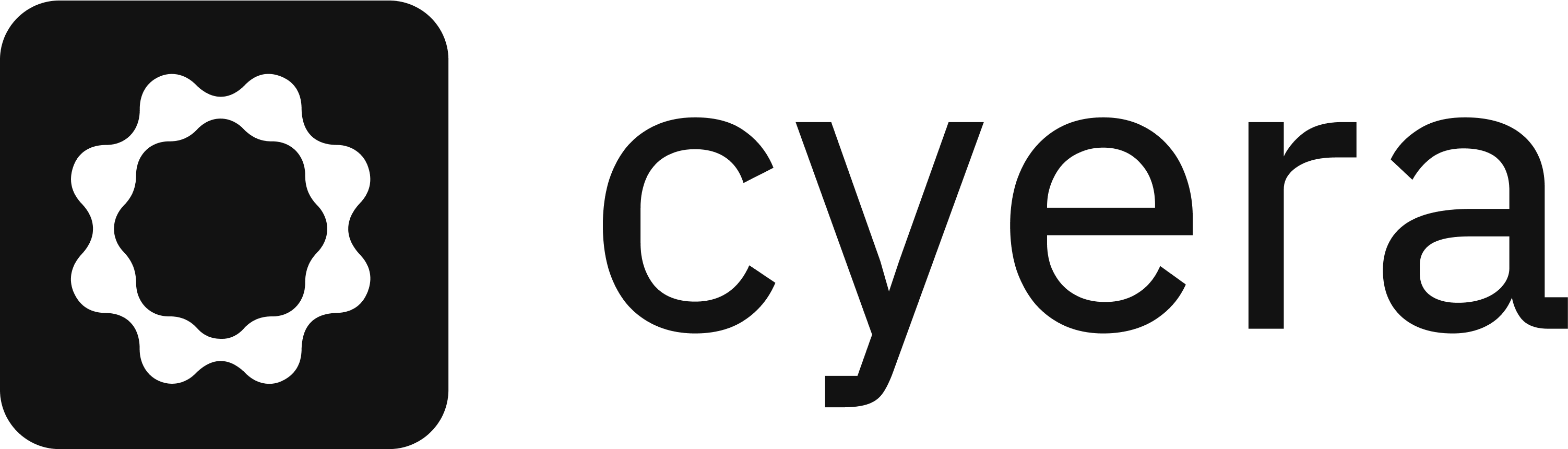 Cyera.io