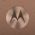 Motorola Mobility